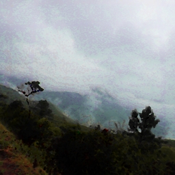 PB010854.jpg