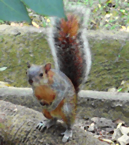 PB090081.jpg