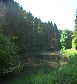 P1130470.jpg