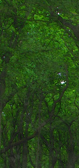IMG_1577_cut1_FotoSketcher.jpg