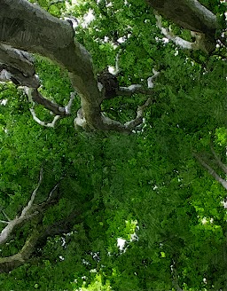 IMG_1576_cut3_min3_FotoSketcher.jpg