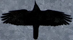 IMG_8724_cut1_FotoSketcher.jpg