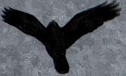 IMG_8763_cut1_FotoSketcher.jpg