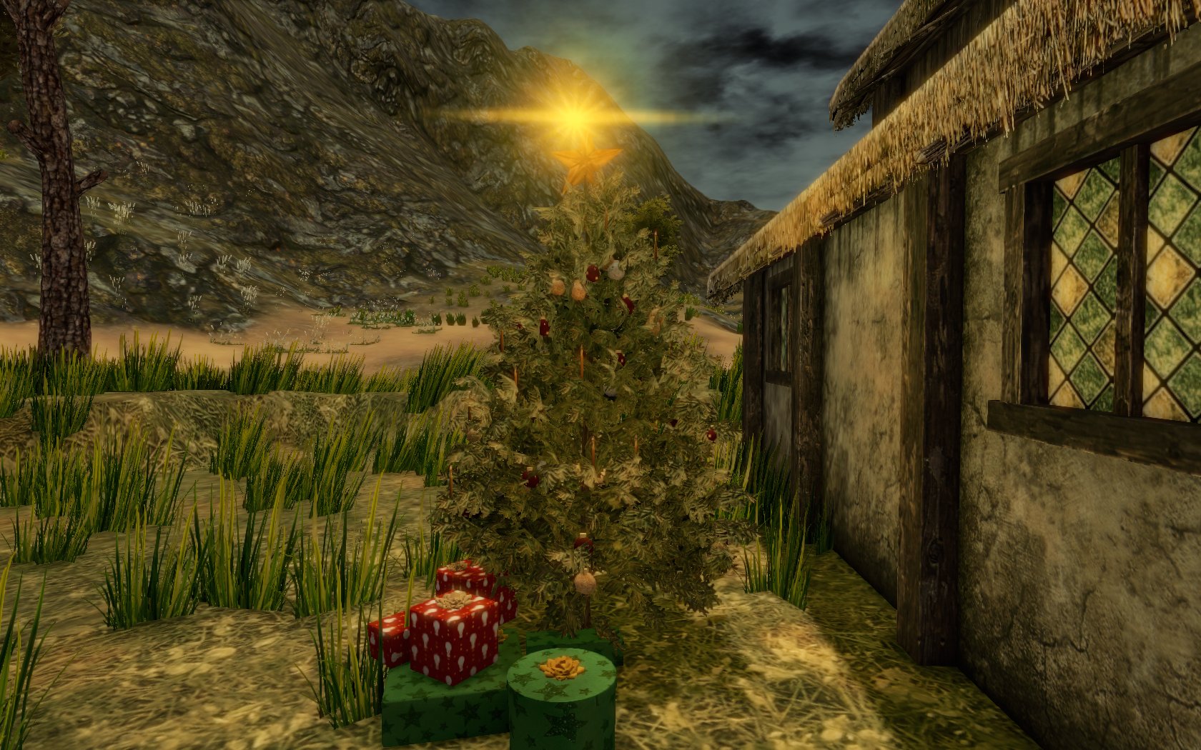 Weihnachtsbaum in Hillhaus.jpg