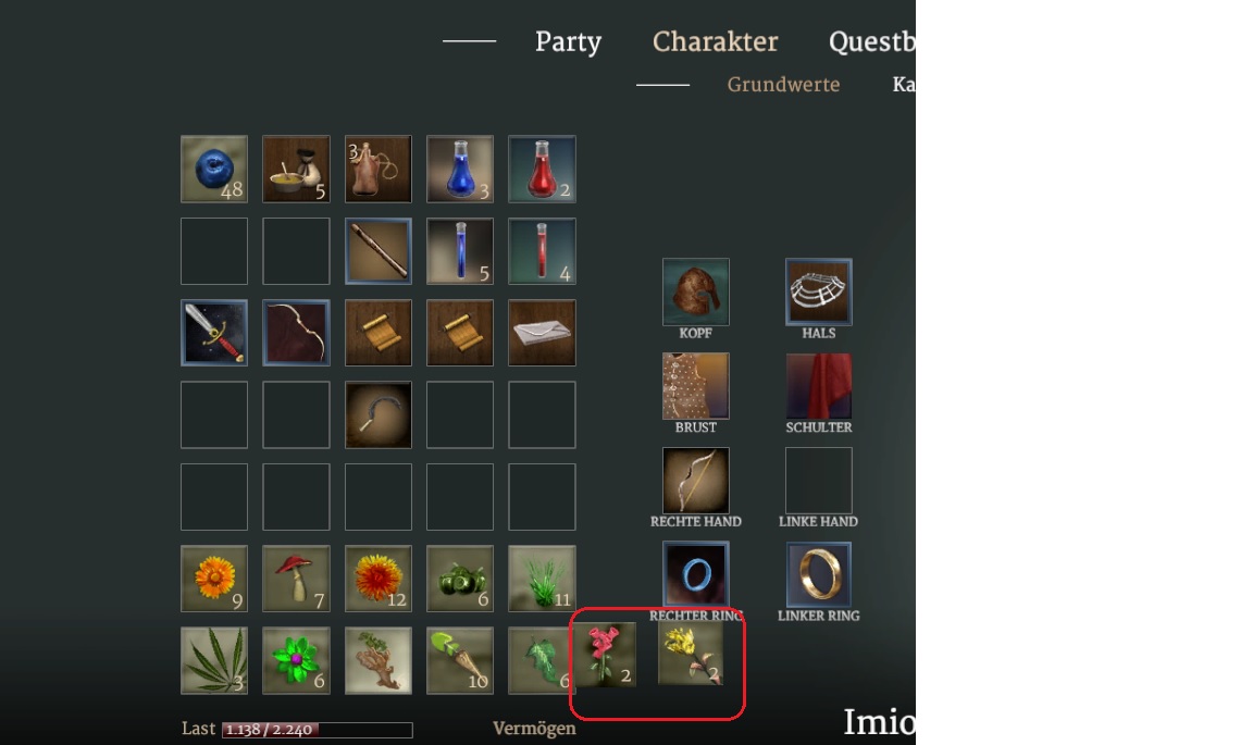 Items ausserhalb des Charakter- Grids.jpg