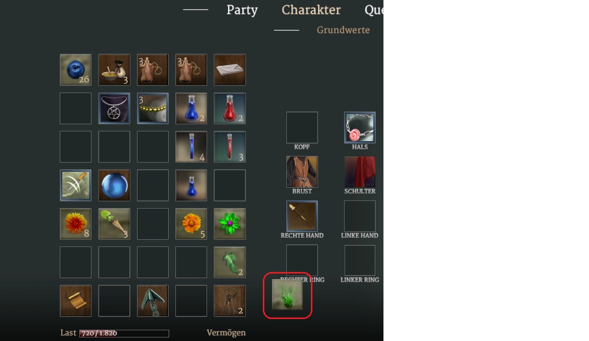 Items ausserhalb des Charakter-Grids_2.jpg