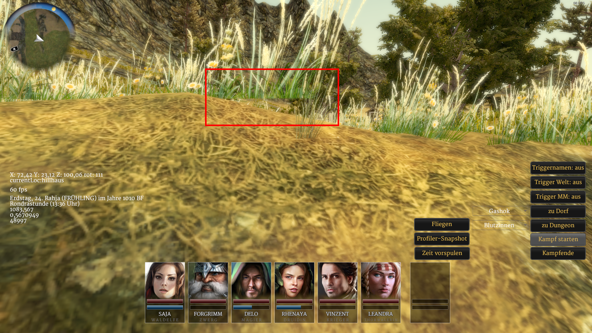 Hillhaus_Gras.png