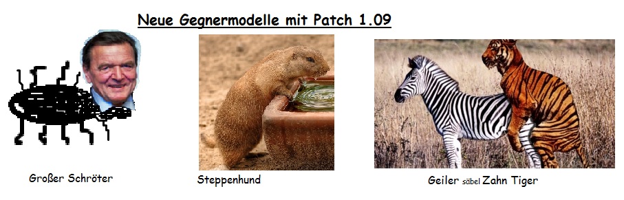 neue modelle.jpg
