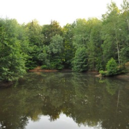 Einsiedlersee.jpg