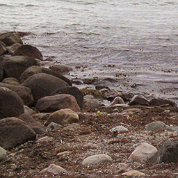 strand_steinig_cc.jpg